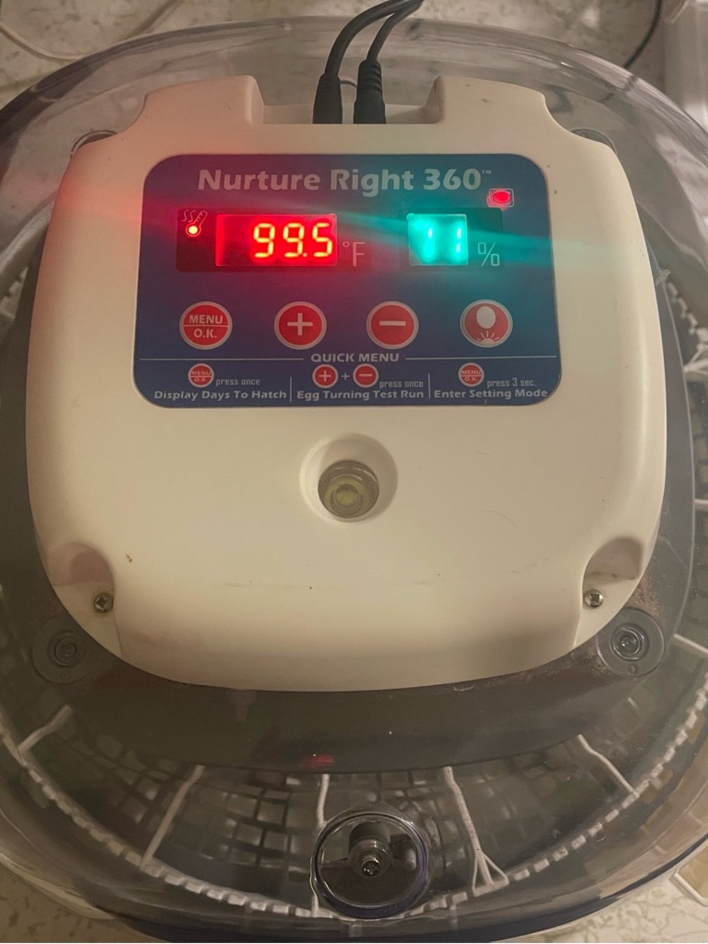 Nurture Right 360 Incubator WITH HATCHING EGGS